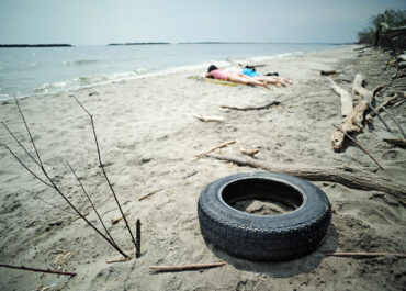 Restore Your Mental Health: Restore Land!