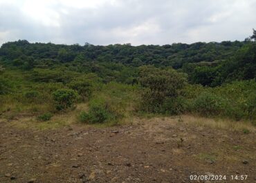 Oloolua Forest: A Community-Driven Journey